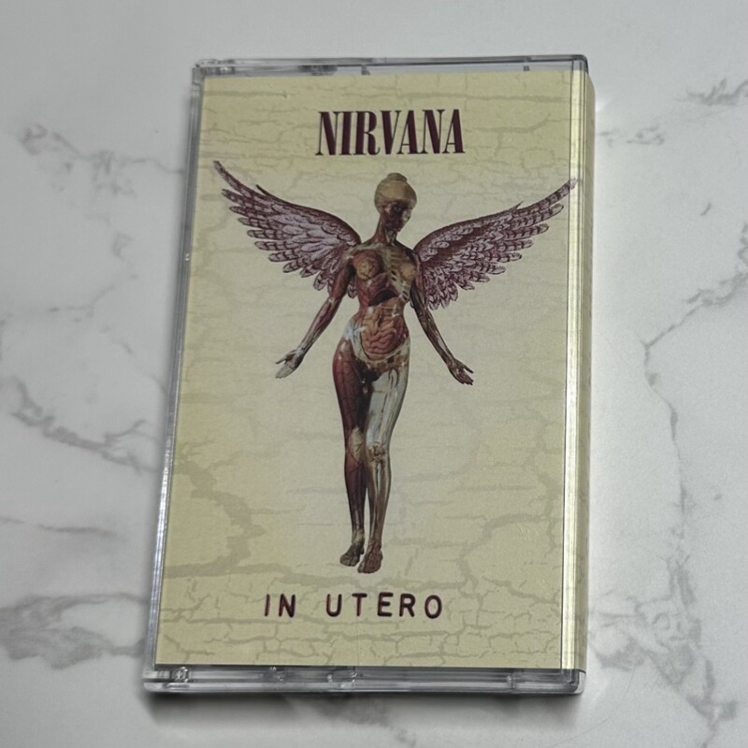 Nirvana Complete Album Collect - Vintage Collectible & Vintage Dolls 评论和价格