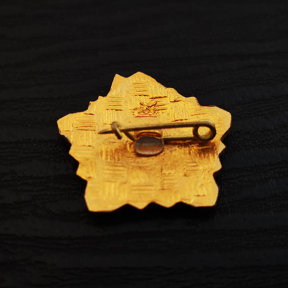 Russia USSR Badge Lapel Pins V - Vintage Collectible Classics 评论和价格